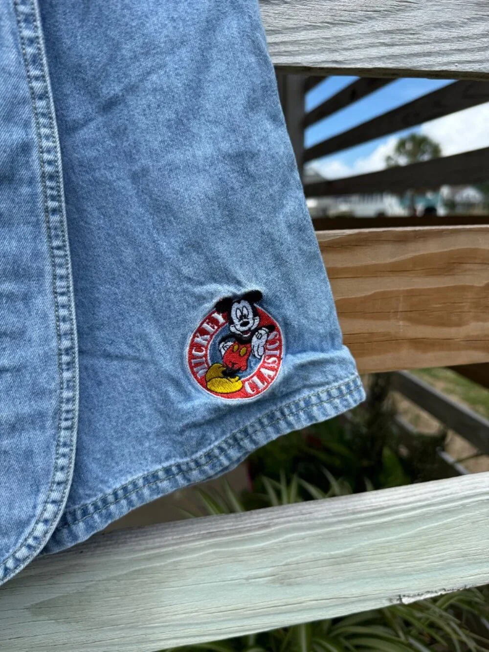 Mickey Unlimited find reflects